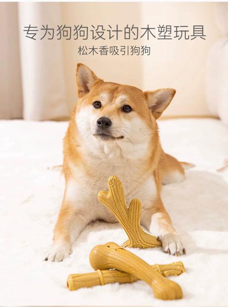 宠物用品市场正在蓬勃发展