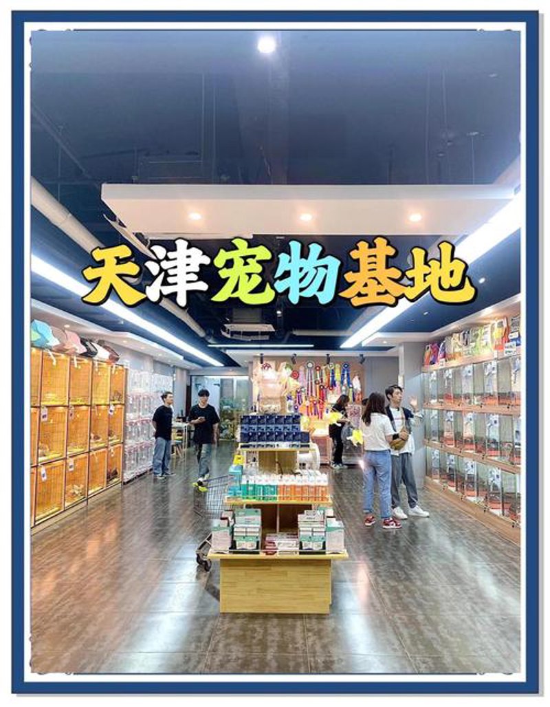 宠物零食市场：营养与趣味的完美融合