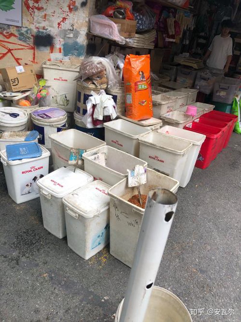 宠物食品行业的最新发展动态